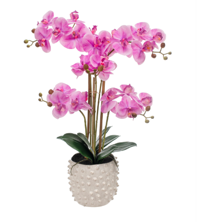 Artificial Silk Real Touch Phalaenopsis Arrangement in Pot