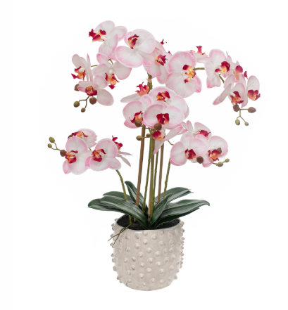 Artificial Silk Real Touch Phalaenopsis Arrangement in Pot