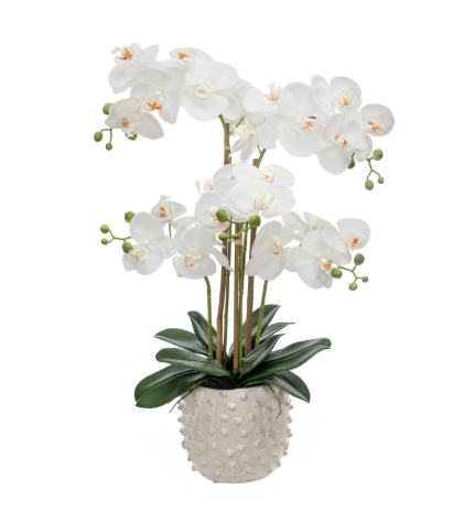 Artificial Silk Real Touch Phalaenopsis Arrangement in Pot