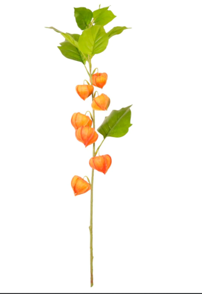 Artificial Silk Chinese Lantern Stem