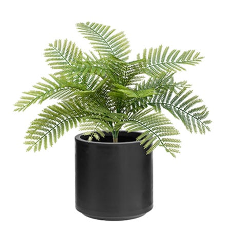 Artificial Leatherleaf Fern in Stockholm Planter