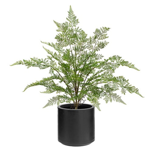 Artificial Maidenhair Fern in Stockholm Planter