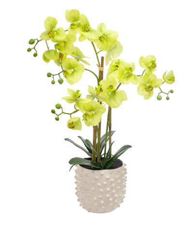 Artificial Silk Real Touch Phalaenopsis Arrangement in Pot