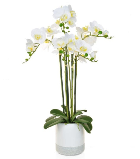 Artificial Silk Real Touch Phalaenopsis Arrangement