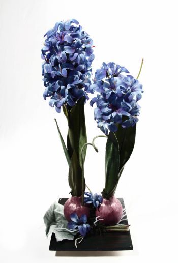 Hyacinth Twig Display