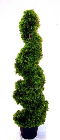 Grass Spiral Tree