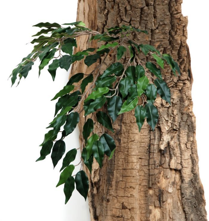 Note the Tree Trunk is for illustration purposes only and shows the Artificial Ficus Spray inserted into it as an example.