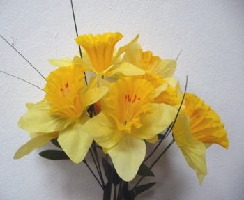 Daffodil Bush