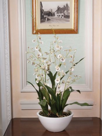 Orchid in White Bowl Arrangement