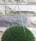 showing Glavanised chain and an example of how it could look when attached to an Artificial Boxwood Topiary Ball.