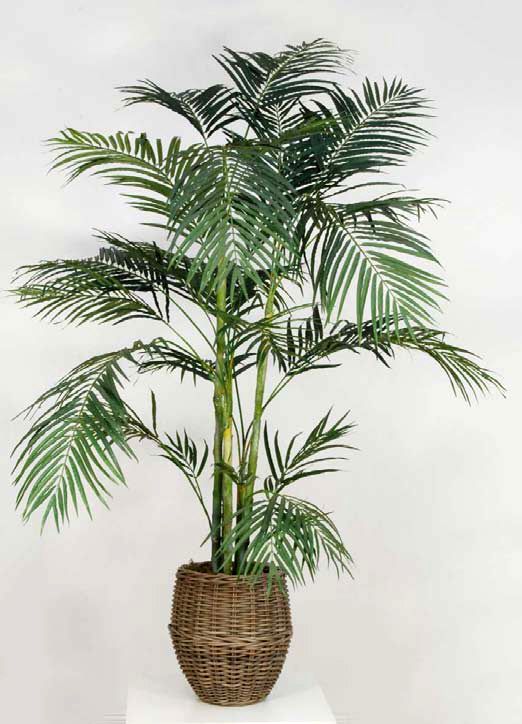 Replica Areca Palm Tree sold complete in Planter