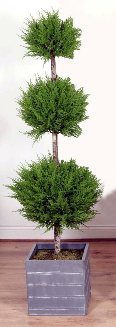 Artificial Cedar Triple Ball Tree ready planted in a Lead Look Trough