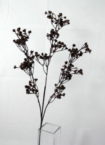 Gypsophila Single Stem Flower
