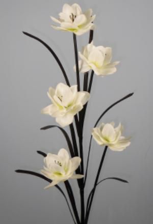 Lotus Flower Single Stem