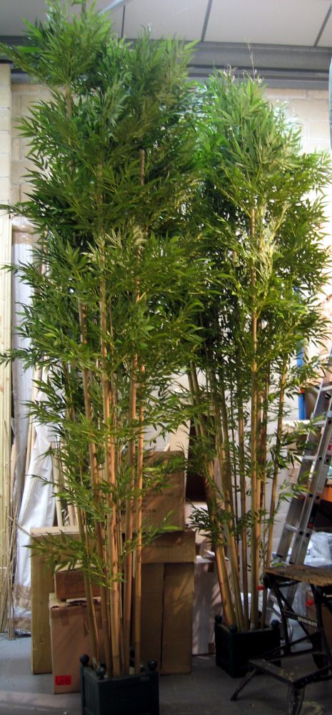 Showing two of our Large hand built Artificial 13.5ft/400cm/4m and 15ft/450cm/4.5m Bamboo trees side by side, planted up in Versailles planters for illustration purposes.