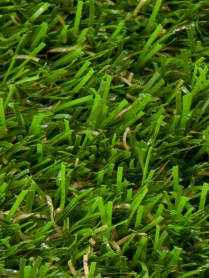Eden Lawn Grass