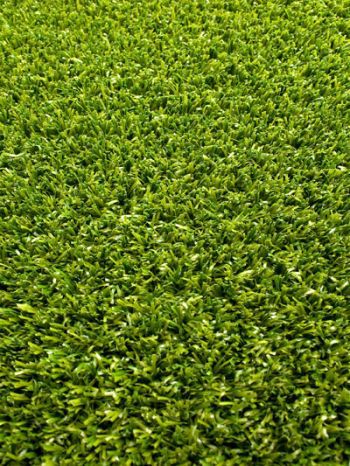 Terrazzo Lawn Grass