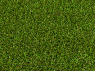 Armida Lawn Grass
