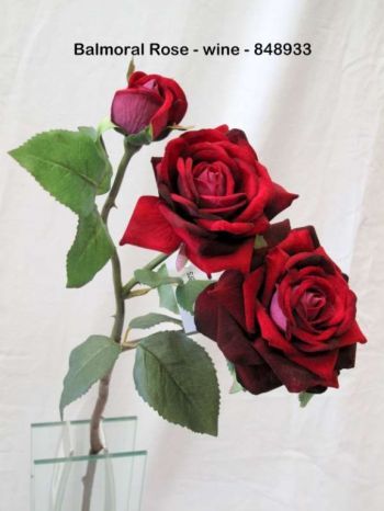 Balmoral Rose