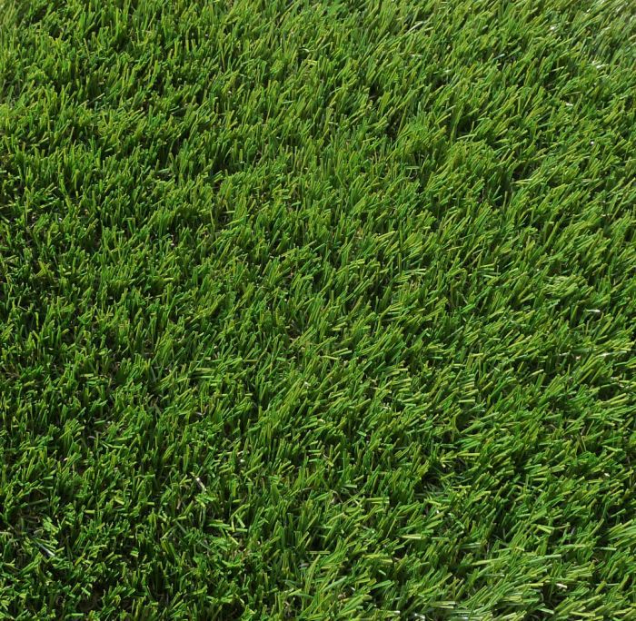 showing our Luxury Lawn Grass closer up, outside in a garden