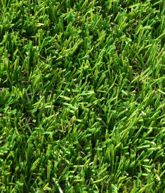 showing extreme close up of our Luxury Lawn Grass in detail, outside in bright sunlight