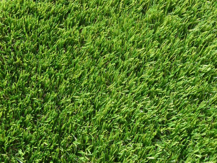 another outdoor close up of our Luxury Lawn Grass, in bright sunlight