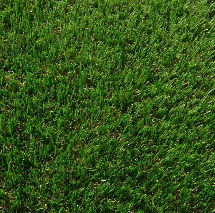 showing our Classic Lawn Grass closer up, outside in a garden