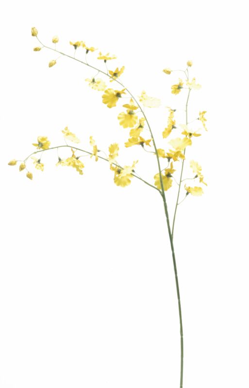 Artificial Dancing Orchid Spray - Yellow