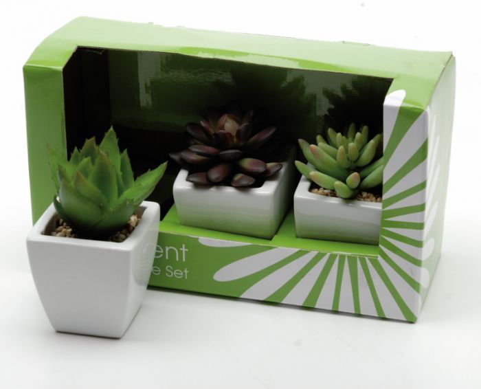 Artificial Plastic Assorted Succulents in Pot - 13cm Green