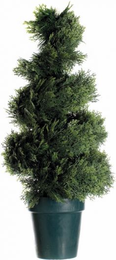Topiary Spiral Border Cypress Effect