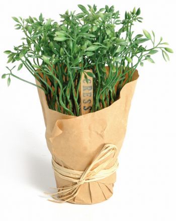 Cress Pot wrapped in paper