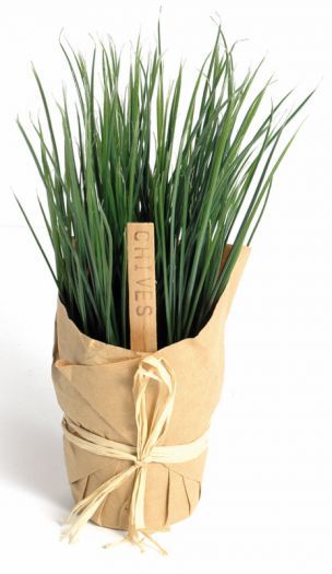 Chives Pot wrapped in paper