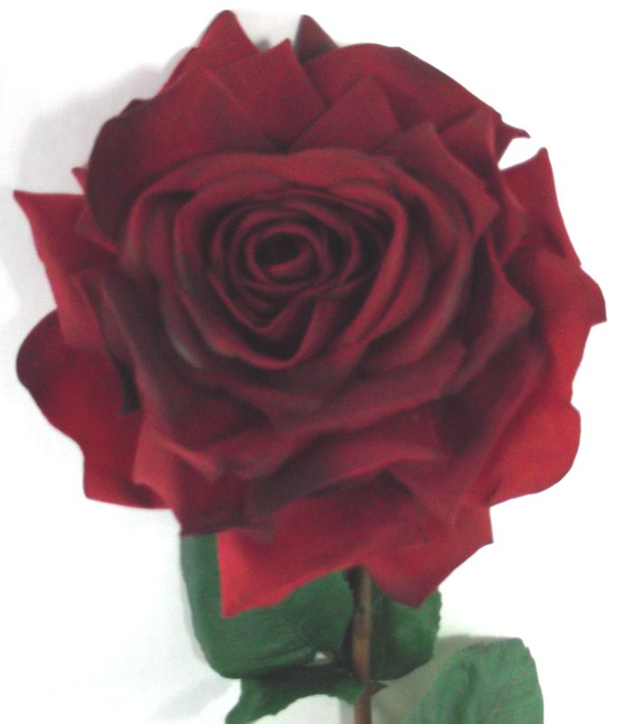 Artificial Silk Open Duchess Rose - 82cm Deep Red (close up of rose head)