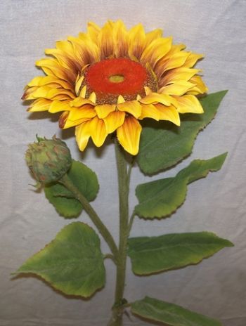 Sunflower Susan