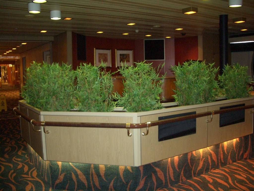 We supplied our Artificial Oriental Bamboo to act as a part screen for a Thomson Cruise Liner in custom troughs, to fit into the ships existing fixture