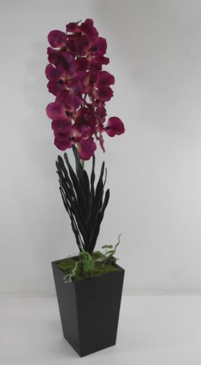 Vanda Orchid In Pot
