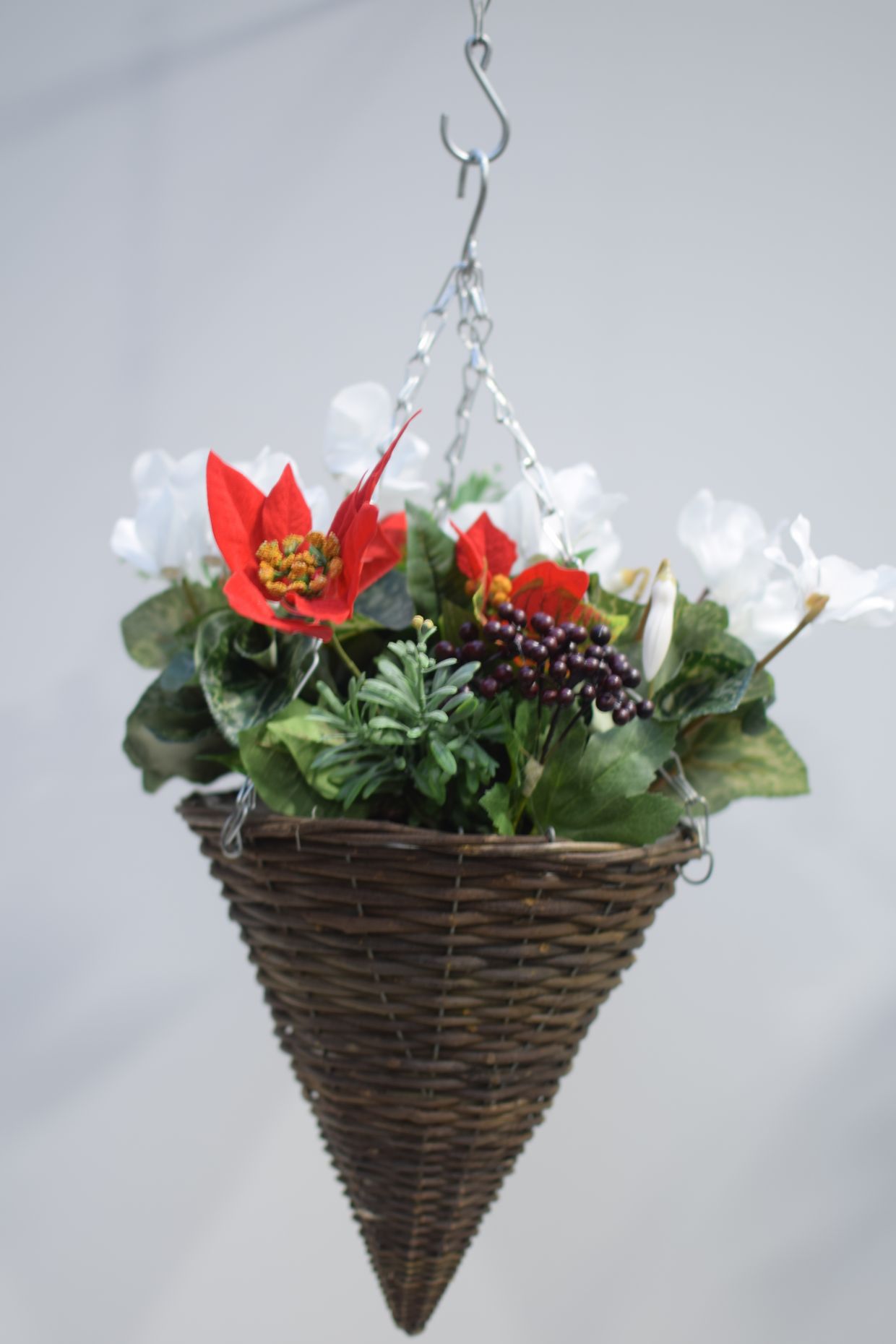 Poinsettia Cyclamen Christmas Hanging Basket Just