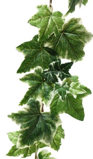 English Deluxe Ivy Garland
