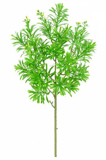 Artemisia Foliage UV