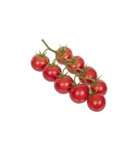 Cherry Tomato on the vine