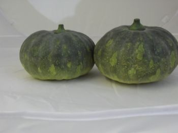 Pumpkins (Pair)