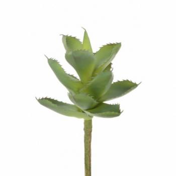 Succulent Agave Pick