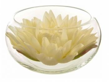 Water Lily in a clear Glass Round Dish