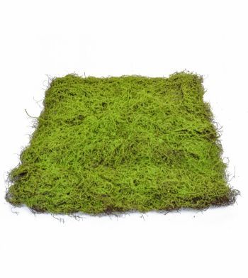 Topiary Moss Pad