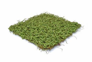 Topiary Moss/Twig Mat 