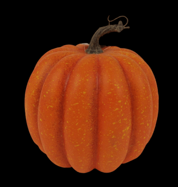 Pumpkin Large