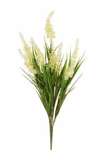 Grass Bush with White Flowers