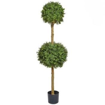 Topiary Buxus Double Ball Tree UV