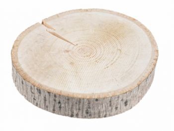 Wood Round Slice