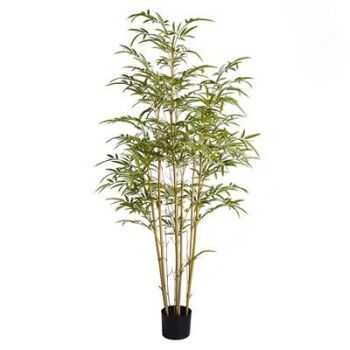 Bamboo Mini Tree FR